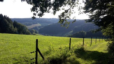 Wanderwege in Oberzent