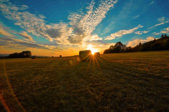 Landgasthof Grüner Baum