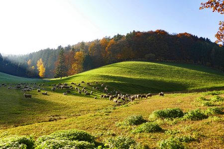 Runderwanderweg S6