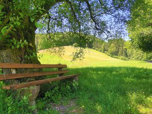 Wandern in Hessen