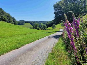 Sommer im Odenwald