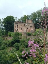 Burg in Gammelsbach